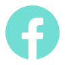 faceboock icon